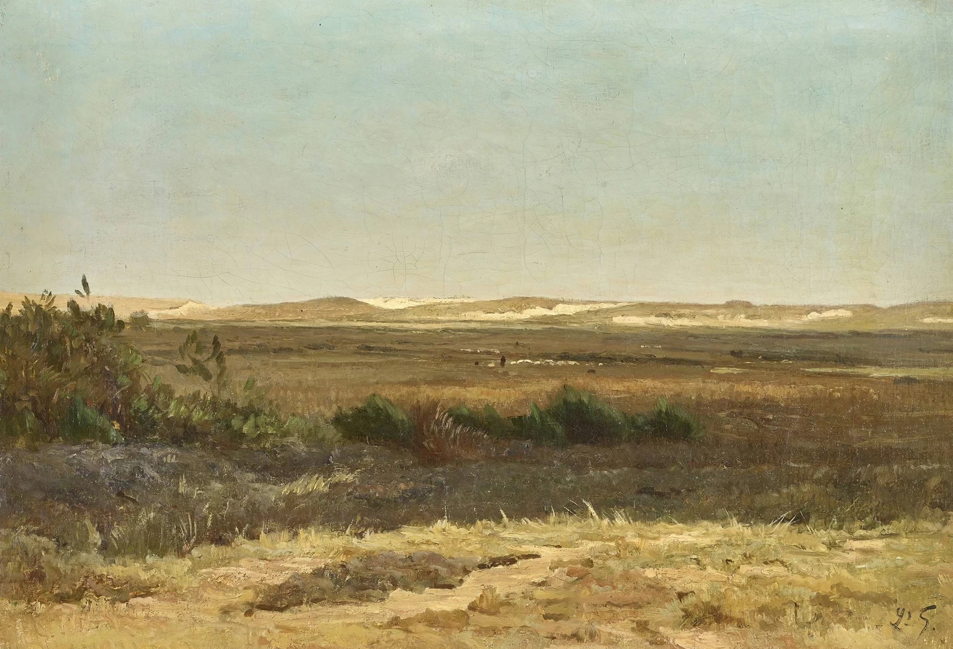 Ampio paesaggio con un gregge di pecore